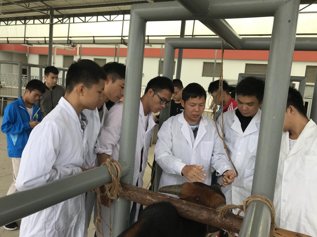學畜牧技術，走致富之路——畜牧漁業飼料銷售的關鍵策略