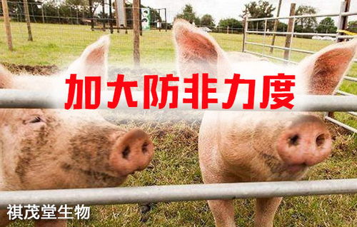 筑牢生物安全屏障 抓實關(guān)鍵措施，防控重大疫病，保障畜牧漁業(yè)飼料銷售穩(wěn)定